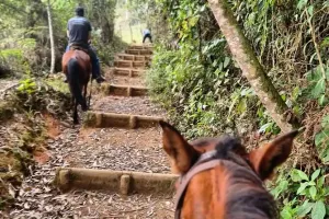 Cabalgata Llanogrande - Imagen 4