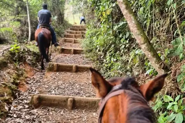 Cabalgata Llanogrande - Imagen 4