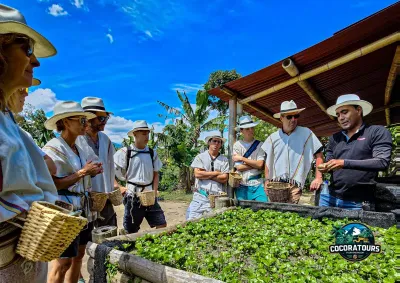 Tour del Café