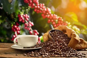 Tour del Café - Imagen 2